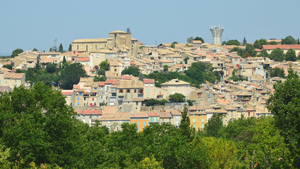 Désinsectisation dératisation Montgeron